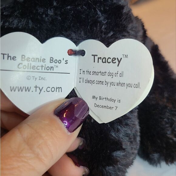 Ty Beanie Boos Tracey the Dog,  8 1/2 inches,  black and white - Picture 5 of 6